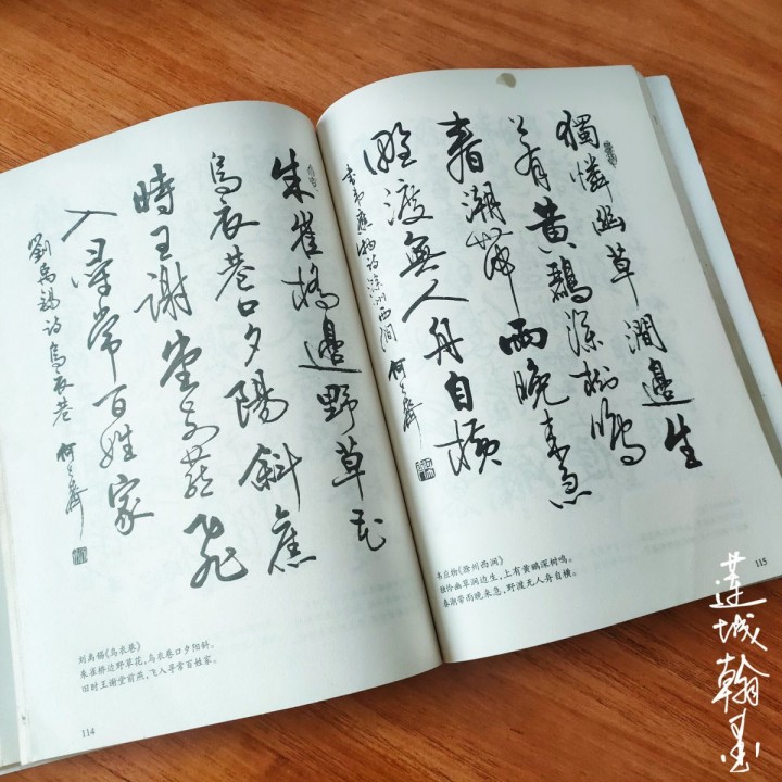 1653442986238025.jpg