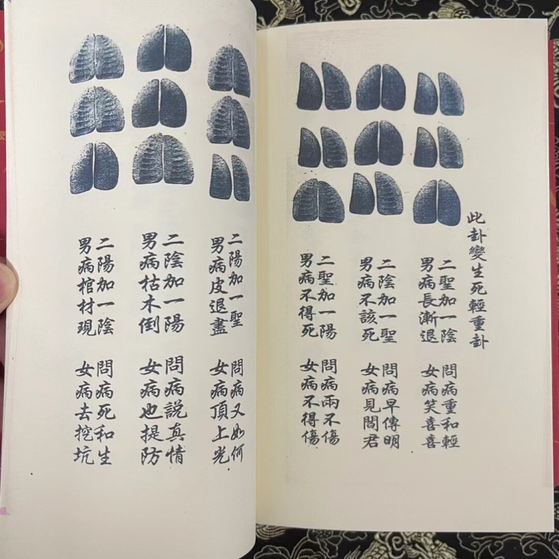 1724769804964328.jpg