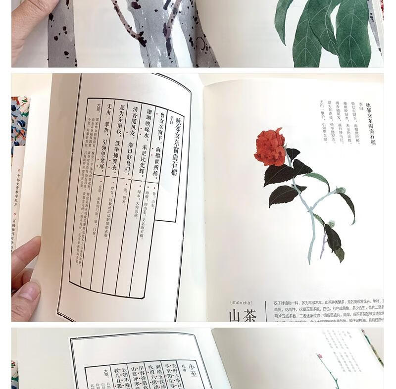 1749112470603175.jpg